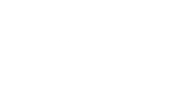 DriveJoy